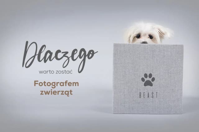 Ile zarabia fotograf zwierzęcy? Zaskakujące fakty o wynagrodzeniu Ile zarabia fotograf zwierzęcy? Zaskakujące fakty o wynagrodzeniu