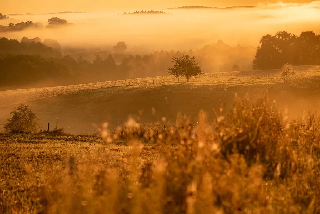 Fotograf jak zacząć - proste kroki do udanej fotografii dla każdego Fotograf jak zacząć - proste kroki do udanej fotografii dla każdego